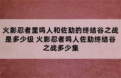 火影忍者里鸣人和佐助的终结谷之战是多少级 火影忍者鸣人佐助终结谷之战多少集